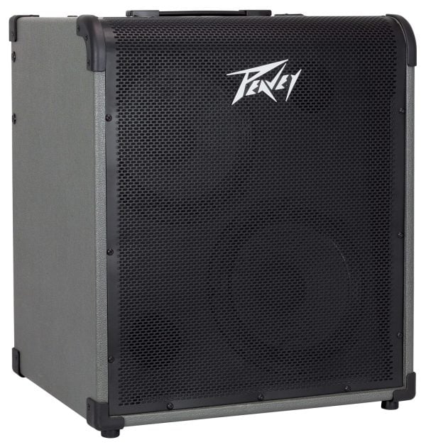Peavey MAX 300 2 x 10-inch 300-watt Bass Combo Amp