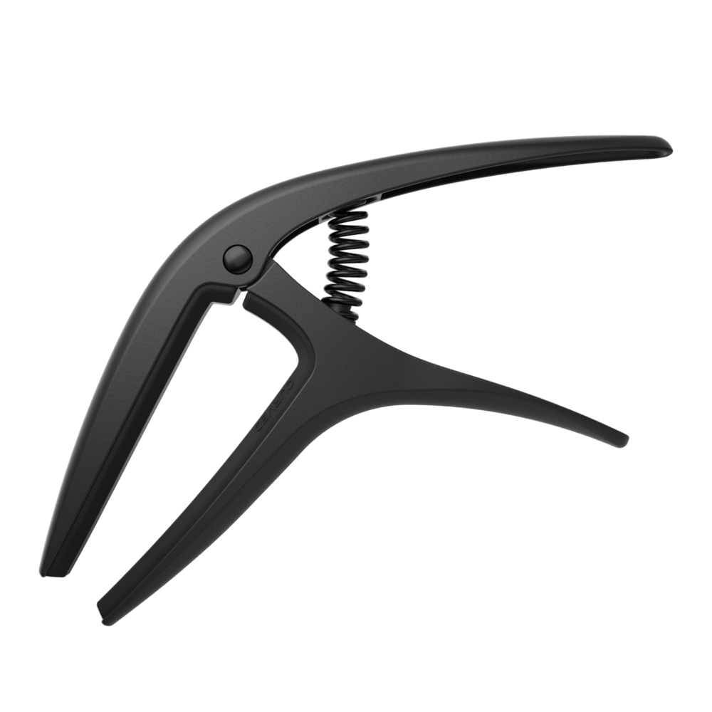 AXIS CAPO