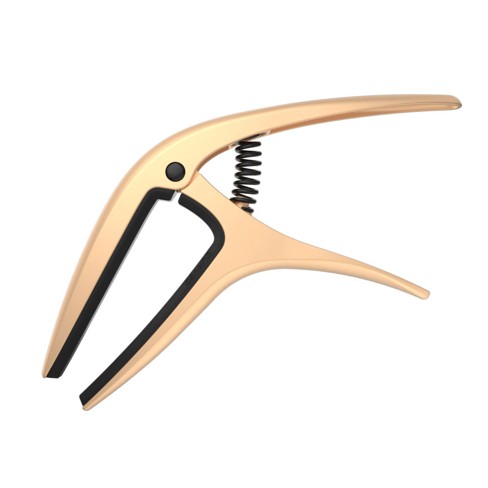 AXIS CAPO