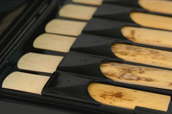 Protec Clarinet Reed Case - 12 Reeds