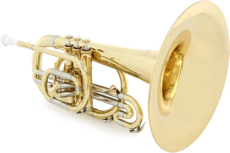 Eastman EMP304 Marching Mellophone Lacquer