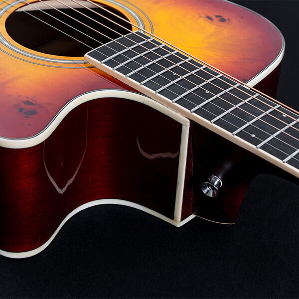 Washburn Deep Forest Burl D Acoustic Guitar