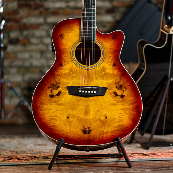 Washburn Deep Forest Burl D Acoustic Guitar