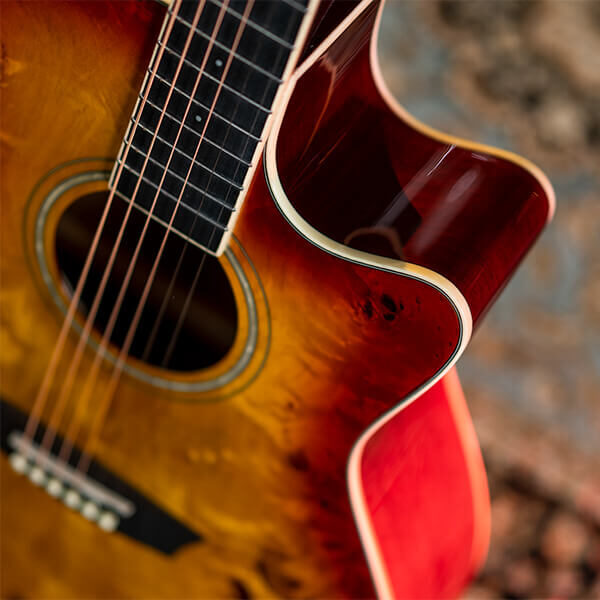 Washburn Deep Forest Burl D Acoustic Guitar