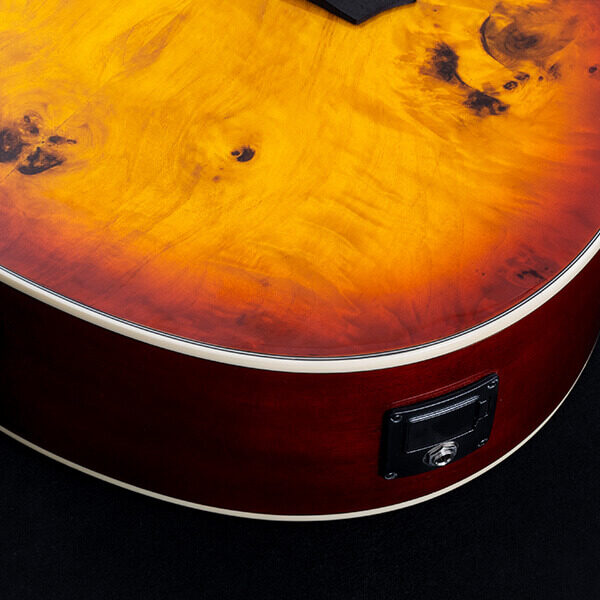 Washburn Deep Forest Burl D Acoustic Guitar