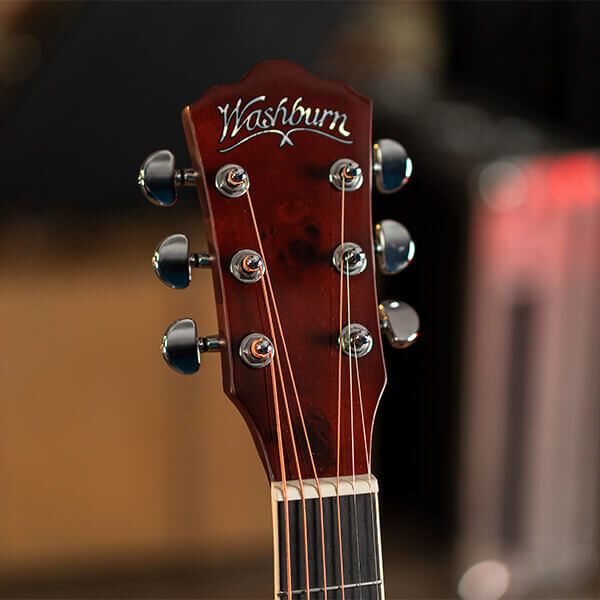 Washburn Deep Forest Burl D Acoustic Guitar