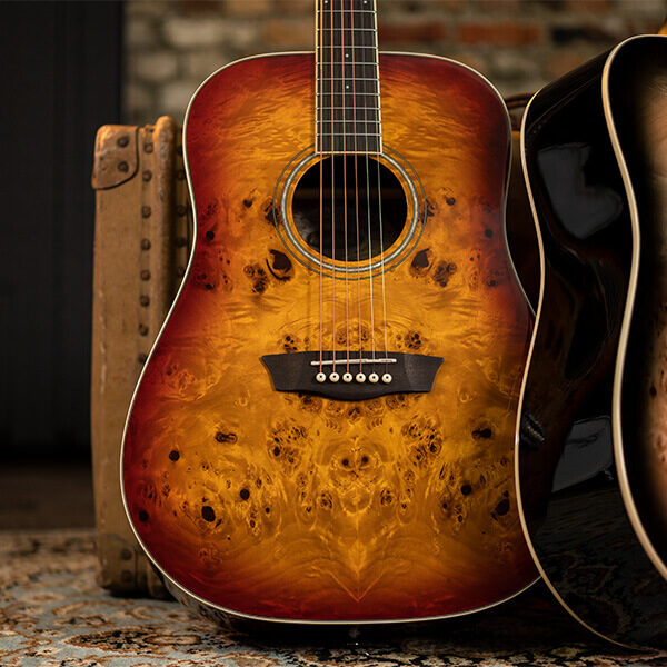 Washburn Deep Forest Burl D Acoustic Guitar