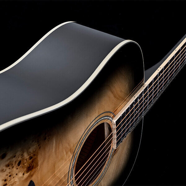 Washburn Deep Forest Burl D Acoustic Guitar