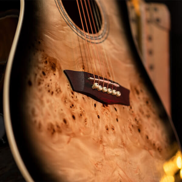 Washburn Deep Forest Burl D Acoustic Guitar