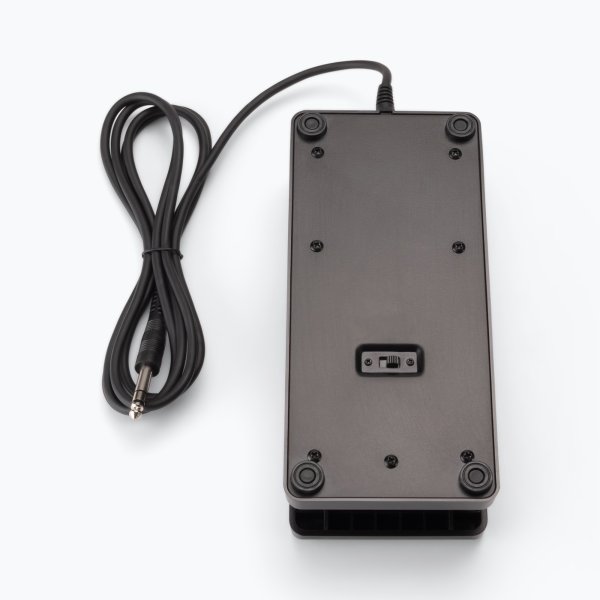 On-Stage Expression Pedal