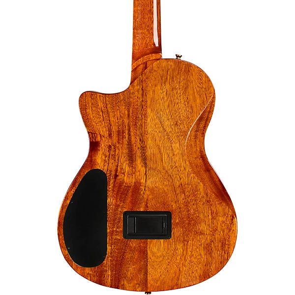Cordoba Stage Artist Nylon-String Electric Guitar Agave Burst