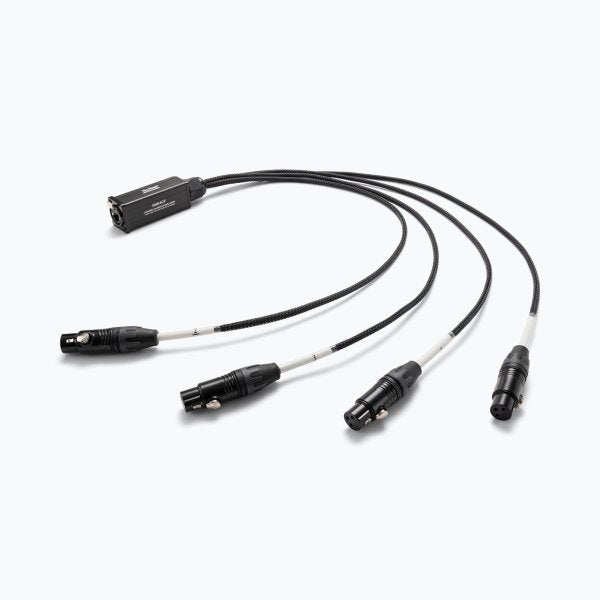On Stage Production-Grade Snake Cable Female
