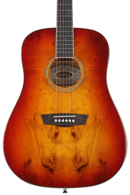 Washburn Deep Forest Burl D Acoustic Guitar