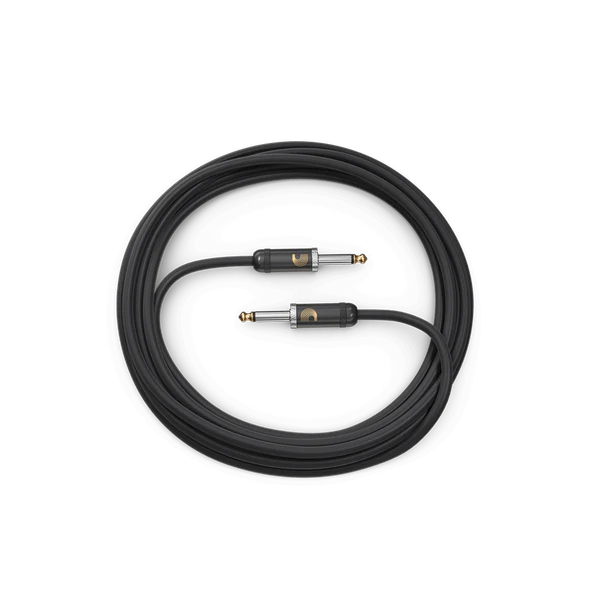 D'Addario American Stage Straight to Straight Instrument Cable - 10 foot