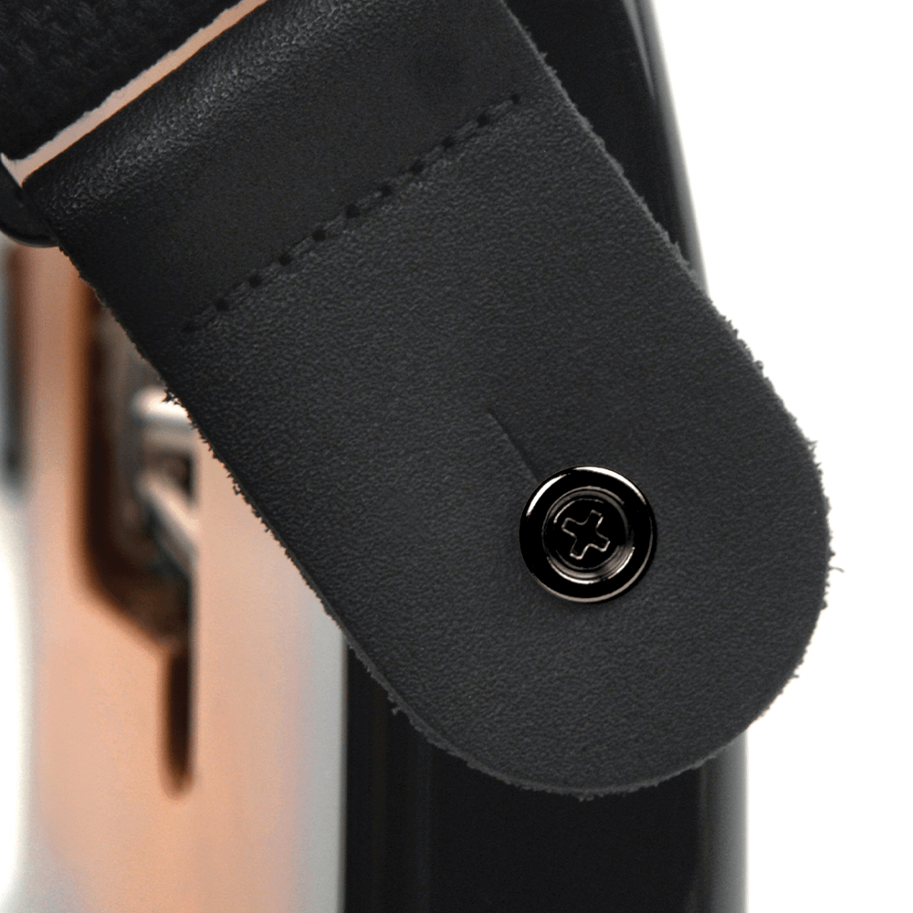 D’Addarío PWEP202 Brass End Pin