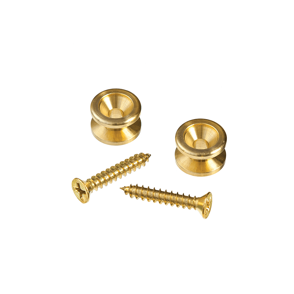 D’Addarío PWEP202 Brass End Pin