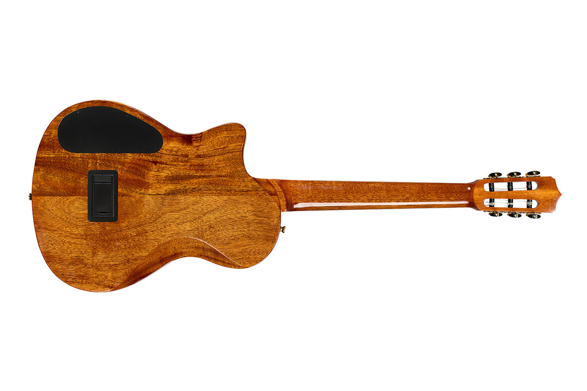 Cordoba Stage Artist Nylon-string Acoustic-electric Guitar -Agave Burst