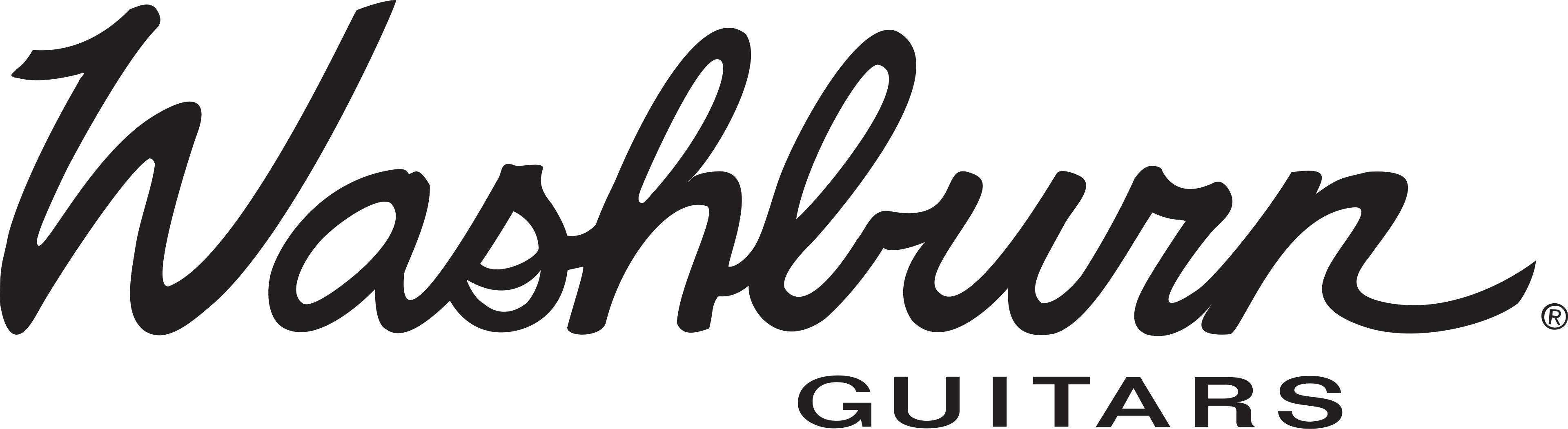Washburn Guitars