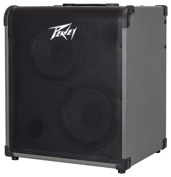 Peavey MAX 300 2 x 10-inch 300-watt Bass Combo Amp
