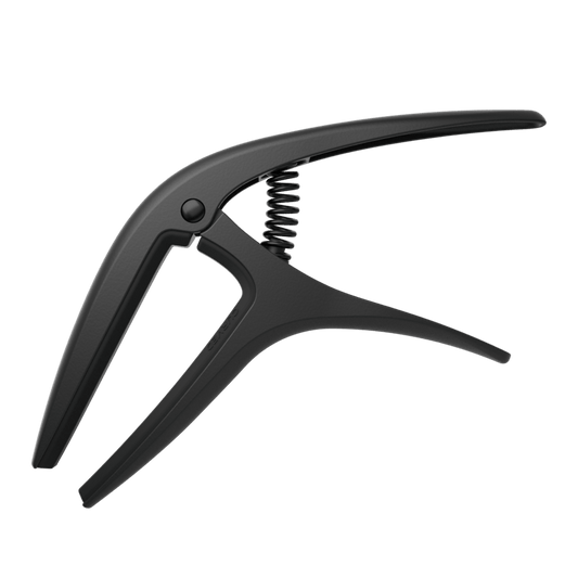 AXIS CAPO
