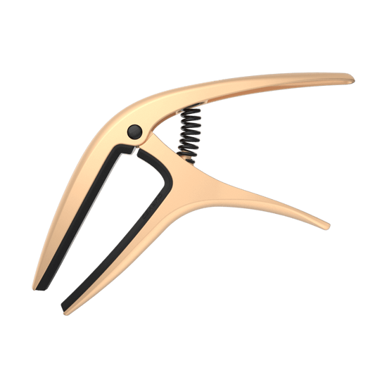 AXIS CAPO