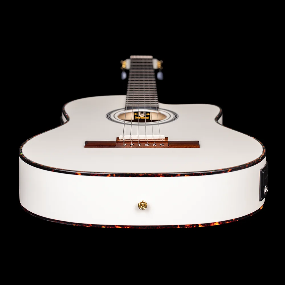 Ortega Family Series Pro Guitar