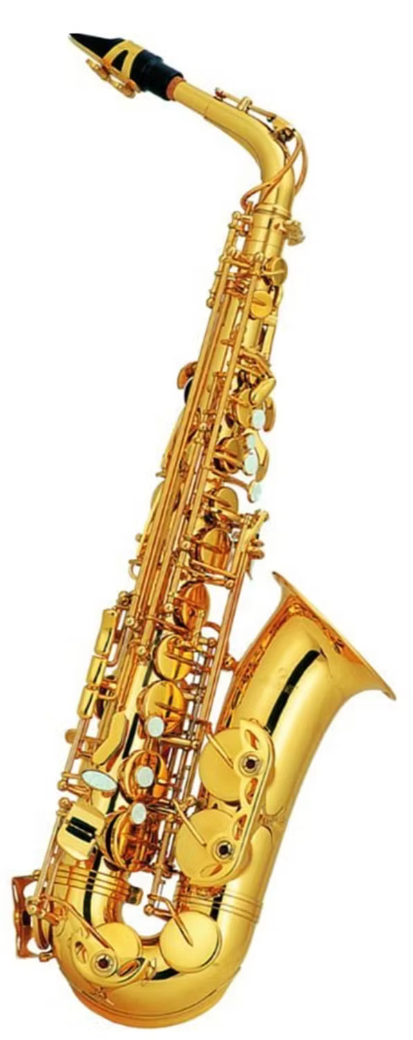 Conductor Alto Sax with Case - M1105A
