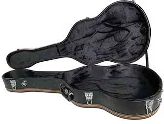 5d2 5d2-TRAVELPRO-D PROFESSIONAL WOOD GUITAR CASE