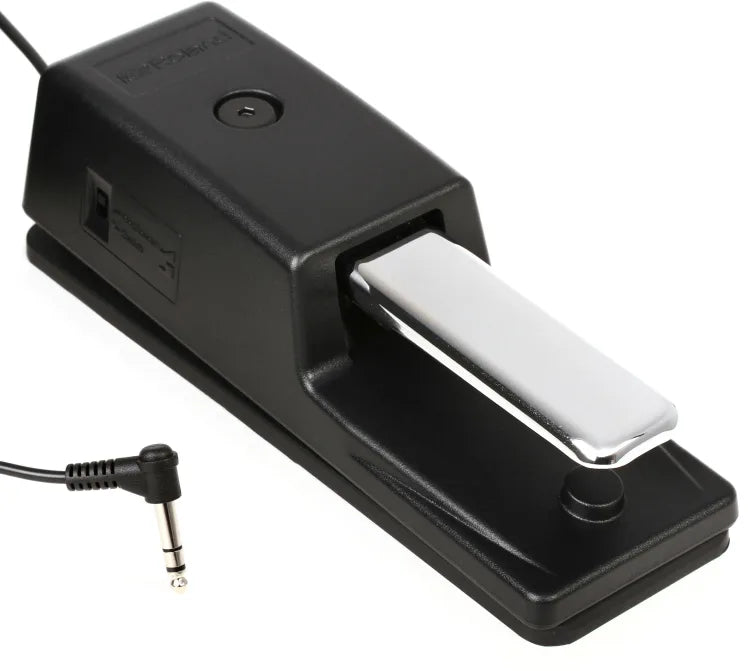 Roland DP-10 Piano-style Sustain Pedal with Half-damper Control