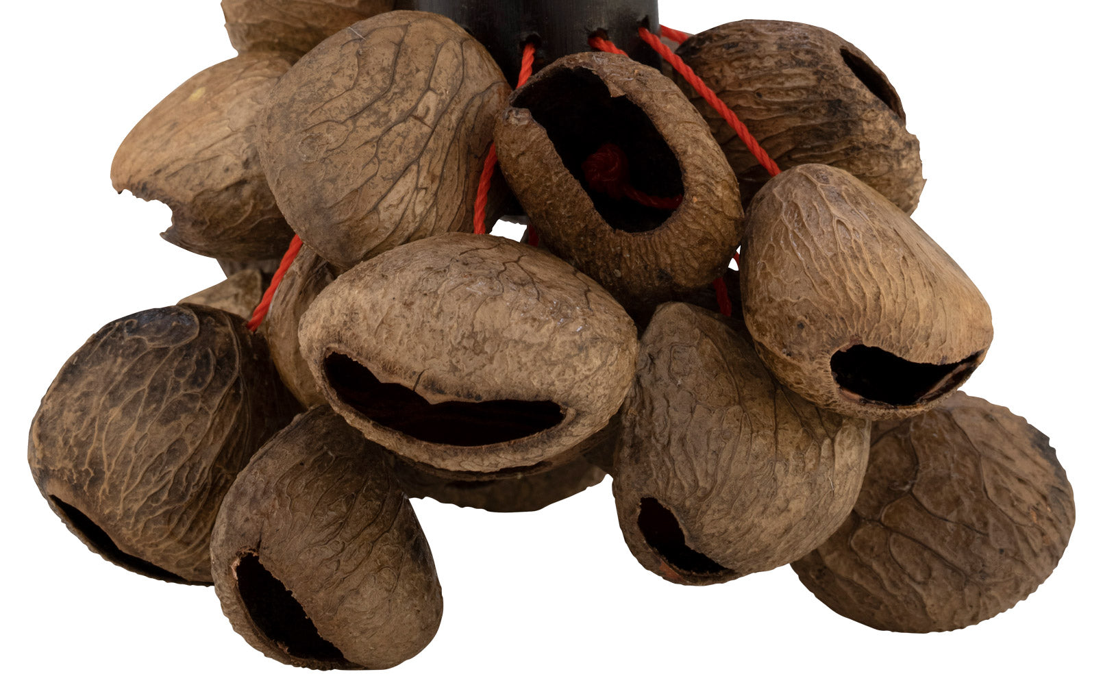 Pearl Pangi Nut Shaker - Rope Handle