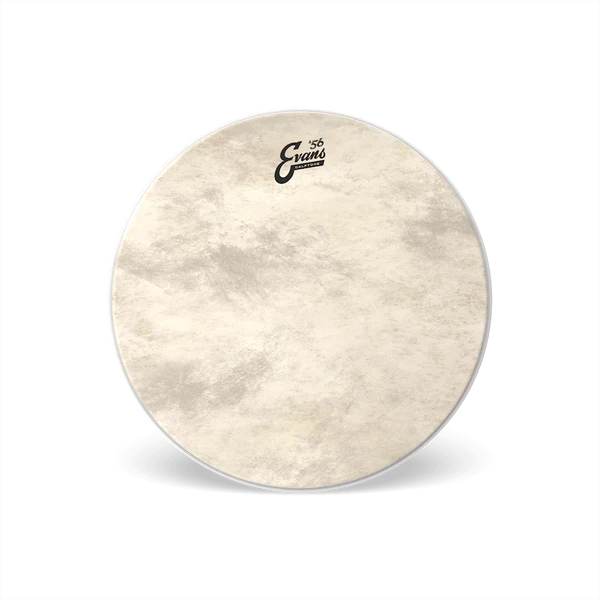 EVANS Calftone Bass Batter