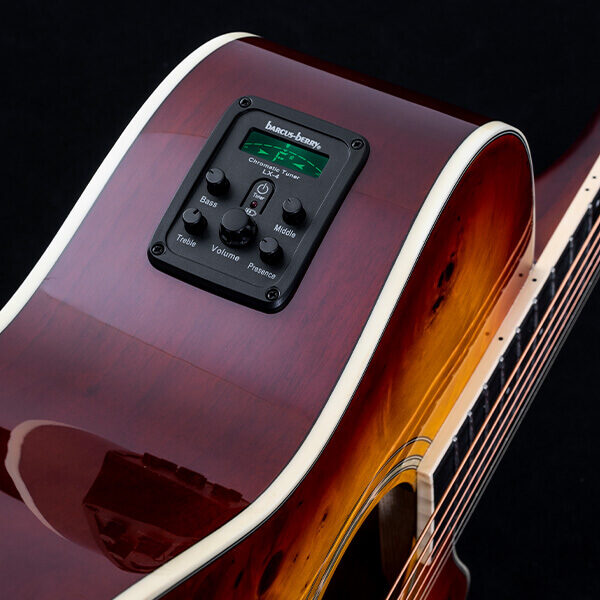 Washburn Deep Forest Burl D Acoustic Guitar