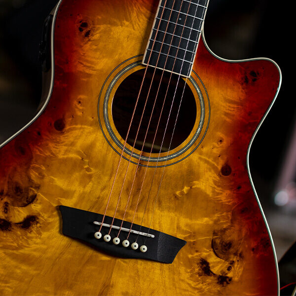 Washburn Deep Forest Burl D Acoustic Guitar