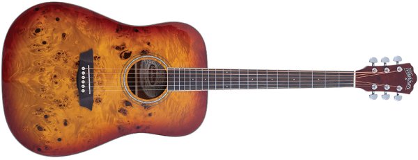 Washburn Deep Forest Burl D Acoustic Guitar