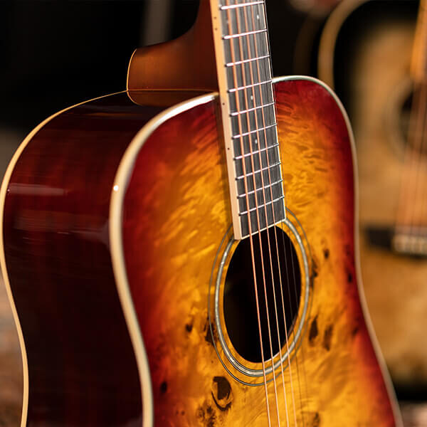 Washburn Deep Forest Burl D Acoustic Guitar
