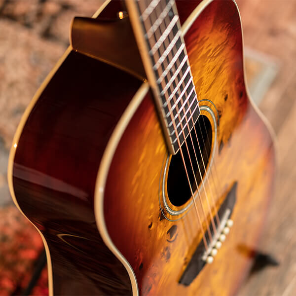 Washburn Deep Forest Burl D Acoustic Guitar
