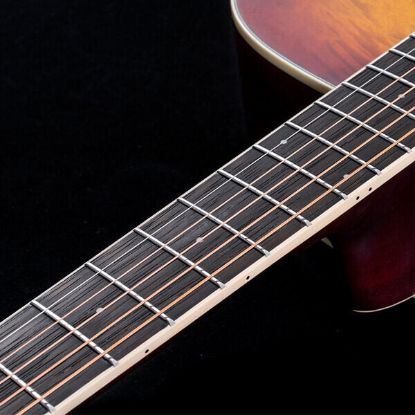 Washburn Deep Forest Burl D Acoustic Guitar