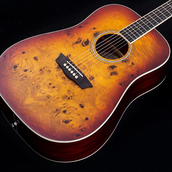 Washburn Deep Forest Burl D Acoustic Guitar