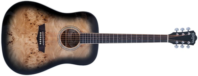 Washburn Deep Forest Burl D Acoustic Guitar