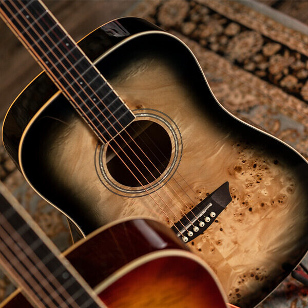 Washburn Deep Forest Burl D Acoustic Guitar