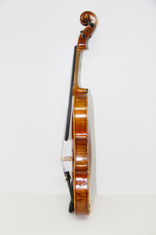 BOS Professional Violin DX200
