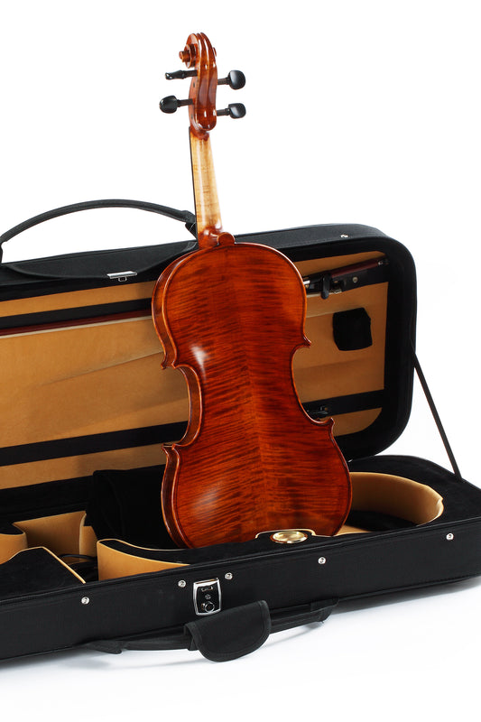 BOS Intermediate Violin DX60