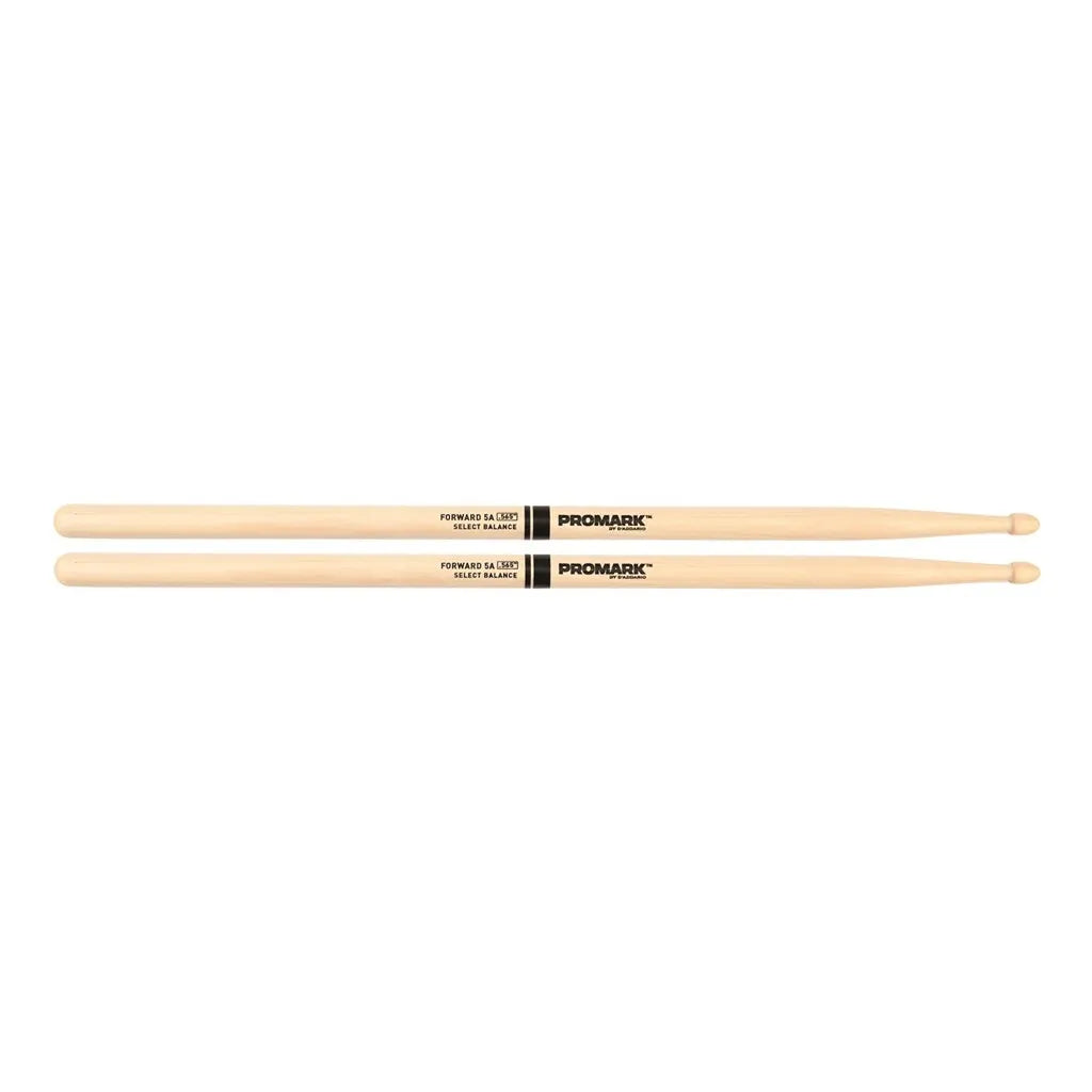 ProMark Forward FBH565AW 5A Acorn Tip Drumsticks