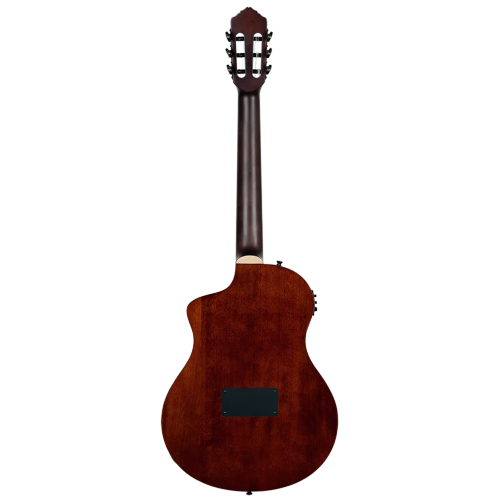 Ortega TourPlayer Series RTPDLX-ACA