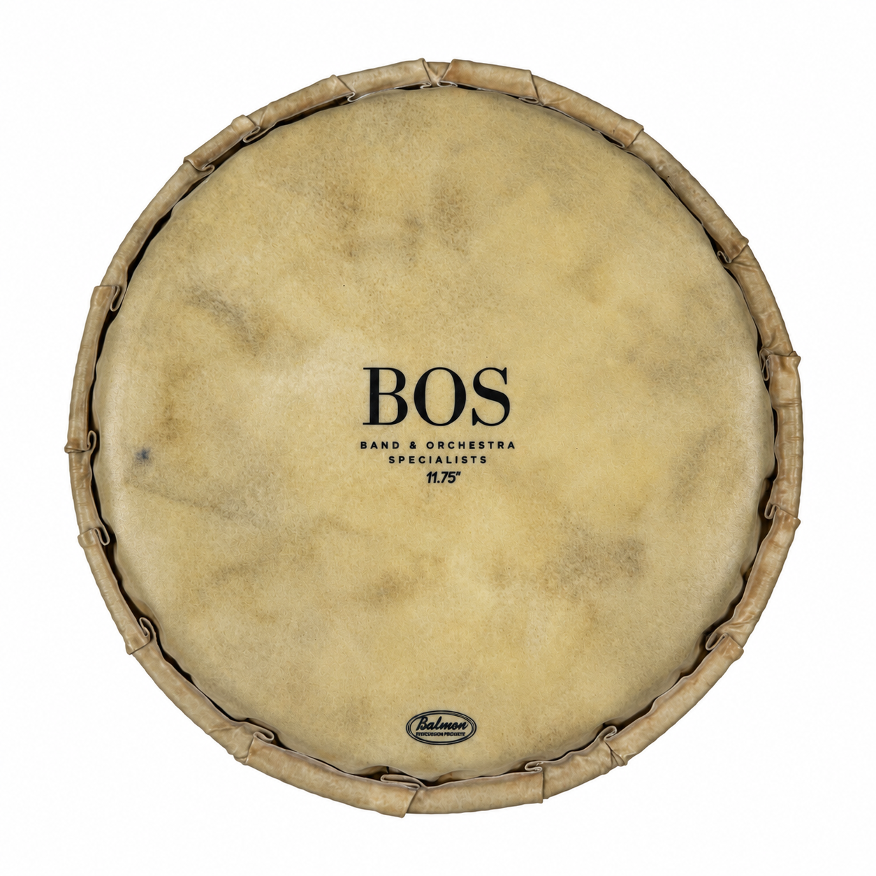 BOS Cuero de Conga - Ivory