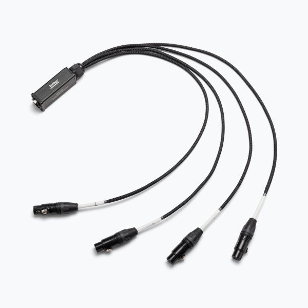 On Stage Production-Grade Snake Cable Female