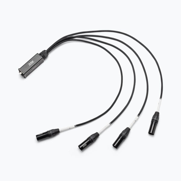 On Stage Production-Grade Snake Cable Male