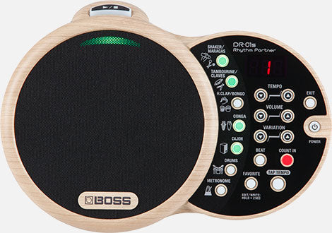 Boss DR-01S Rhythm Partner Performance Groove Machine
