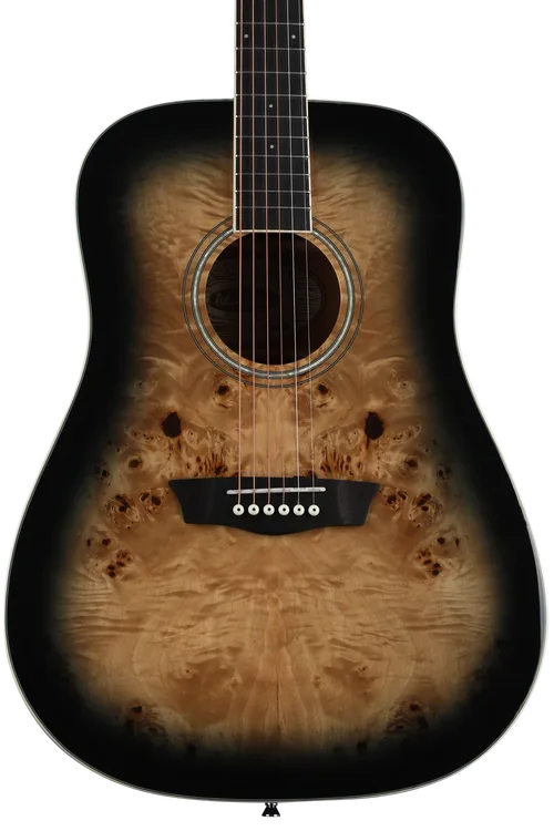 Washburn Deep Forest Burl D Acoustic Guitar